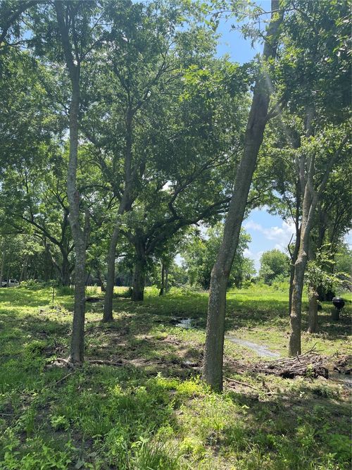 TBD Longview Creeek Trail, Itasca, TX, 76055 | Card Image