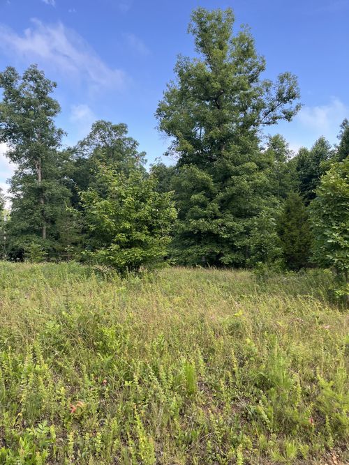 0 Henley Dr, Altamont, TN, 37301 | Card Image