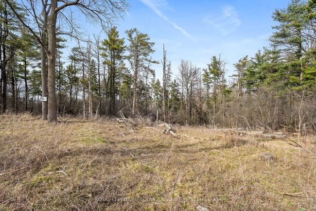 121 Upper Canada Crt, House other with 4 bedrooms, 4 bathrooms and 4 parking in Georgetown ON | Image 47