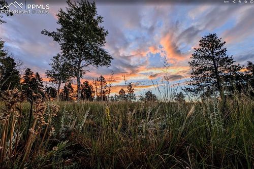 4687 W Highway 24, Florissant, CO, 80816-7098 | Card Image