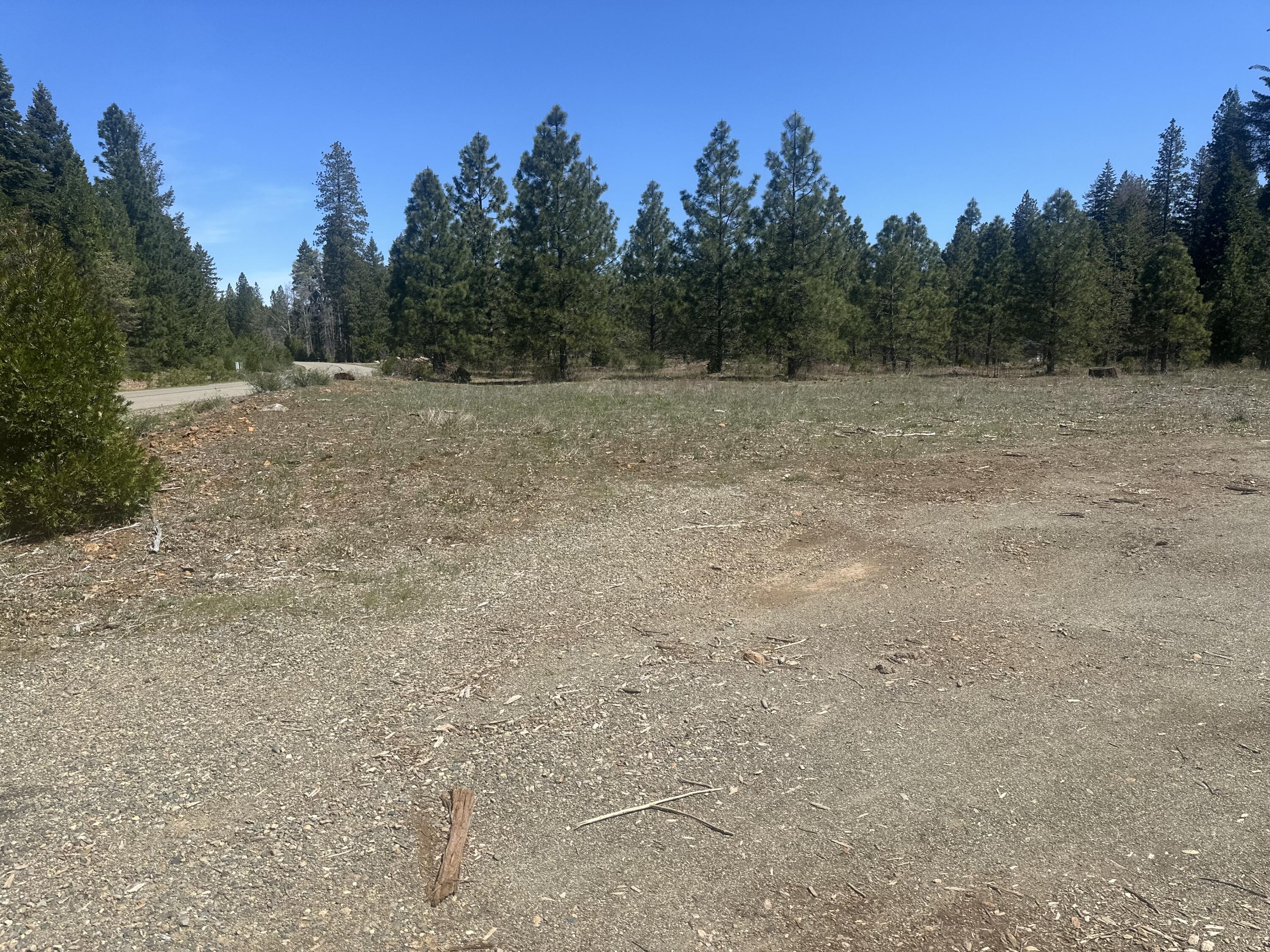 Land in Shingletown 3