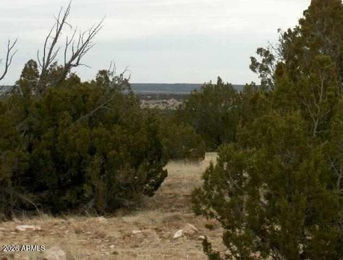 302-Lot 302 Chevelon Canyon Ranch --, Heber, AZ, 85928 | Card Image