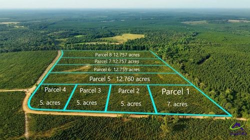 Parcel 3 Whipporwill Road, Reynolds, GA, 31076 | Card Image