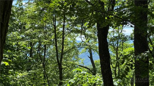 TBD Newbiggin, Boone, NC, 28607 | Card Image