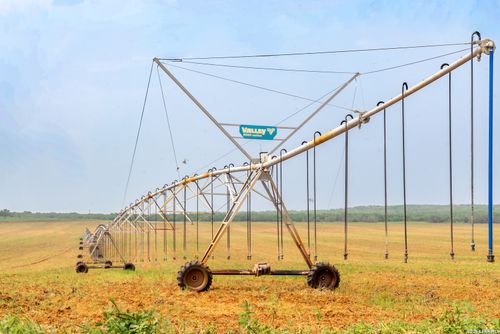 TBD County Road 3000 Keystone, Pearsall, TX, 78061 | Card Image
