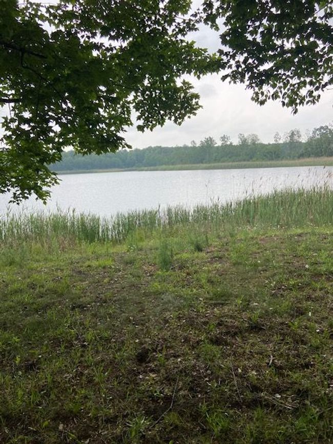 I-69 vac E Taylor N, Home with 0 bedrooms, 0 bathrooms and null parking in Kimball Township MI | Image 8