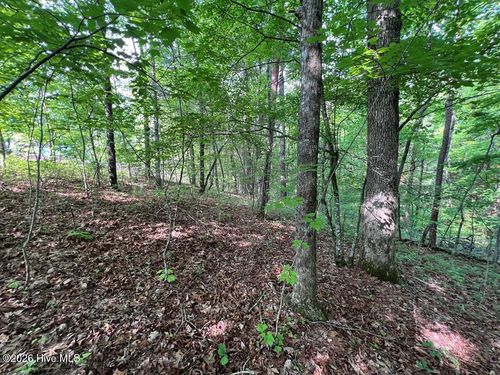 Lot 1 Leonard Lane, Murphy, NC, 28906 | Card Image