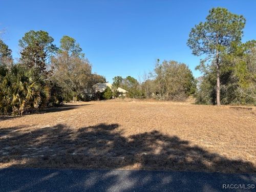 3178 N Barton Creek Circle, Lecanto, FL, 34461 | Card Image