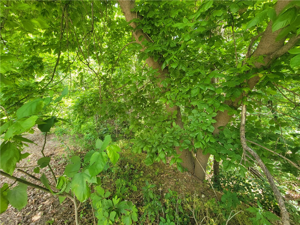 Land in Bella Vista 5