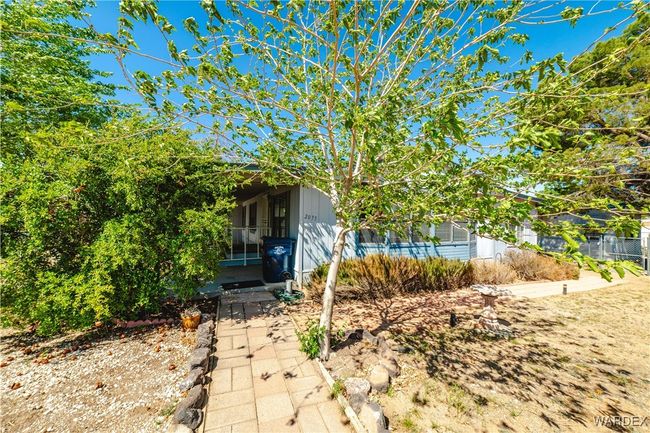 Yard | Image 4