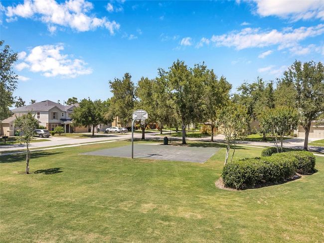 7103 Bridgeview Dr, House other with 3 bedrooms, 2 bathrooms and null parking in WESLEY CHAPEL FL | Image 55