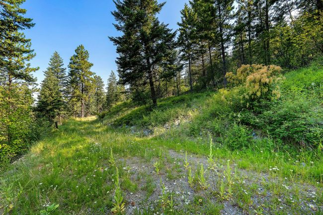 48 Bridle Ct, Home with 0 bedrooms, 0 bathrooms and null parking in Bigfork MT | Image 28