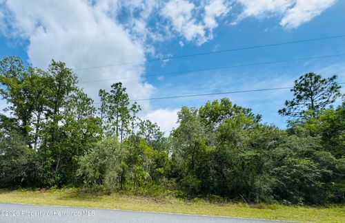 Lot 4 Wood Owl Avenue, Weeki Wachee, FL, 34614 | Card Image