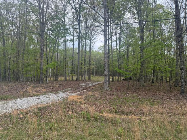 0 Deerwood Dr, Home with 0 bedrooms, 0 bathrooms and null parking in Sewanee TN | Image 8