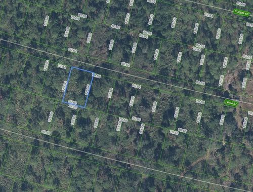8705 Pavia St, Sebring, FL, 33872 | Card Image