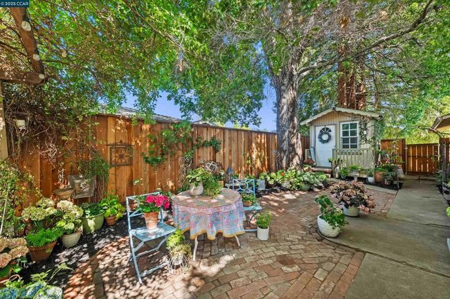 Side Yard Garden | Image 30