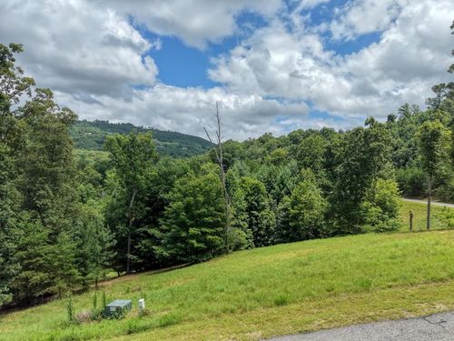 Lot 118 Riverside Ln, Blairsville, GA, 30512-6546 | Card Image