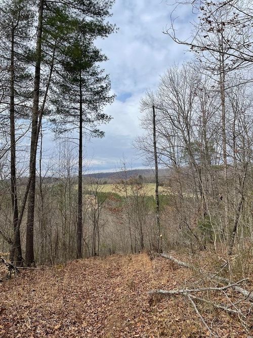 131-70 Estaline Valley Rd, CRAIGSVILLE, VA, 24430-2423 | Card Image