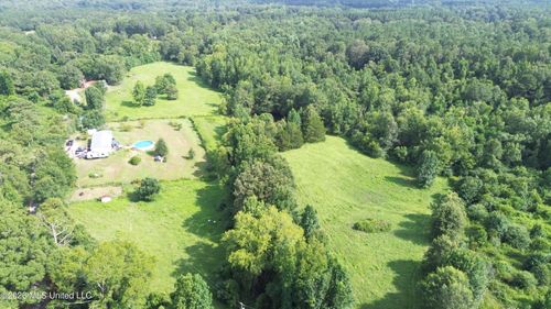 386 E Smith County Road 111-A, Raleigh, MS, 39153 | Card Image