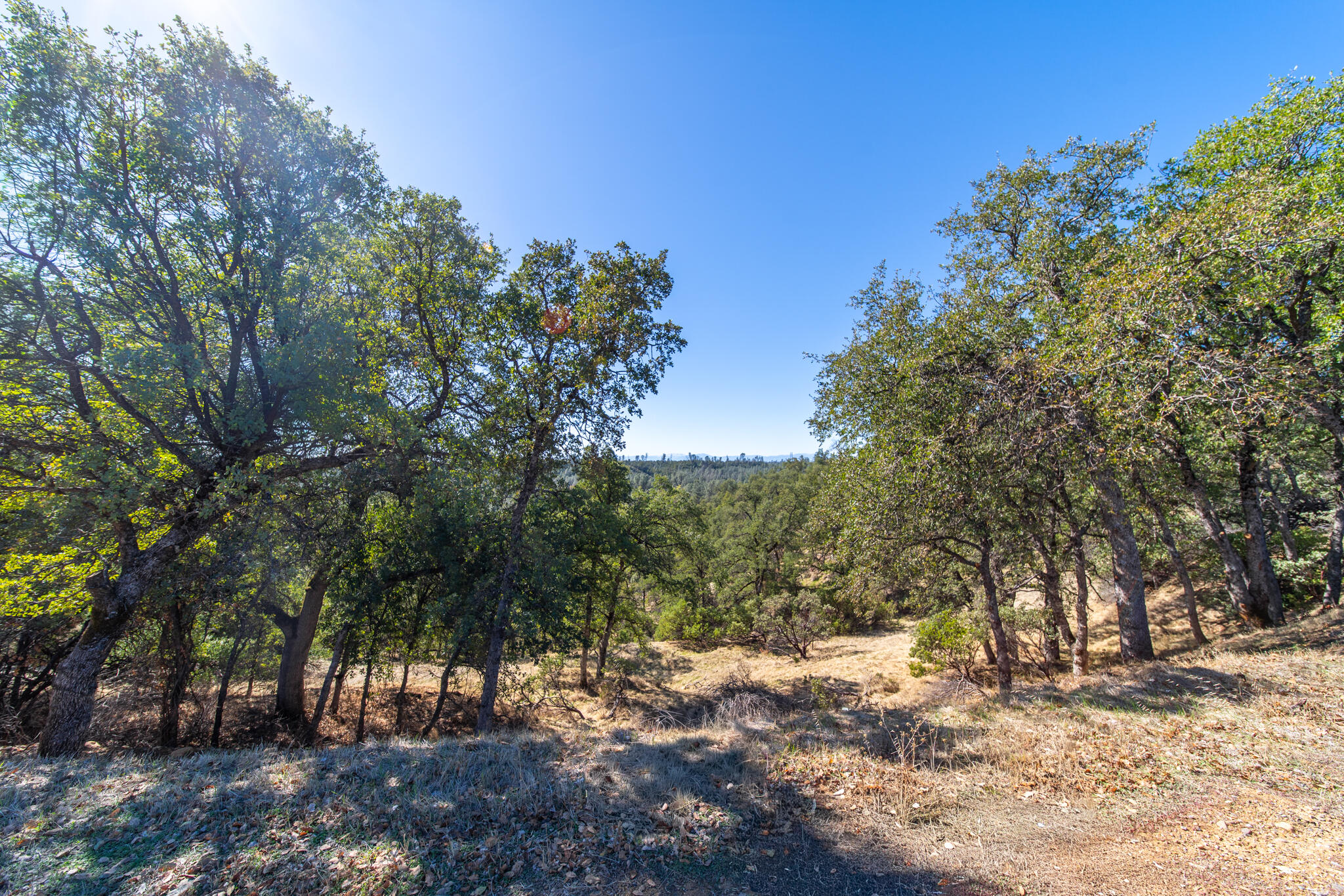Land in Redding 5