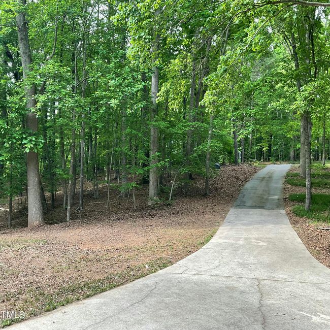 View from Garage | Image 6