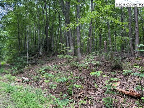 TBD Red Clover Rd, Banner Elk, NC, 28604 | Card Image