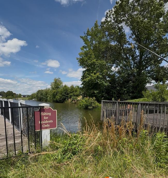 Farm Lake access off Stallion | Image 36