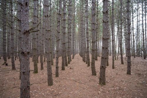 685 17th Dr, Nekoosa, WI, 54457 | Card Image