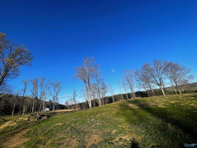 LOT-30 - Lot 30 Thompson Road, Home with 0 bedrooms, 0 bathrooms and null parking in Altoona AL | Image 3