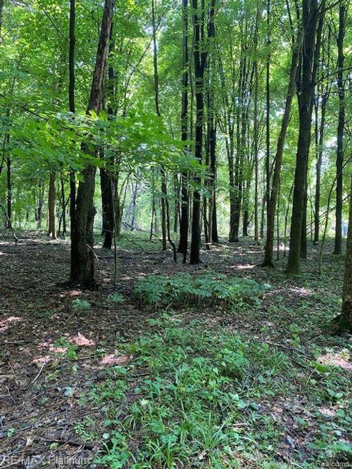 7 Sleaford-Parcel 7 - 2 Acres Road, Howell Township, MI, 48843 | Card Image