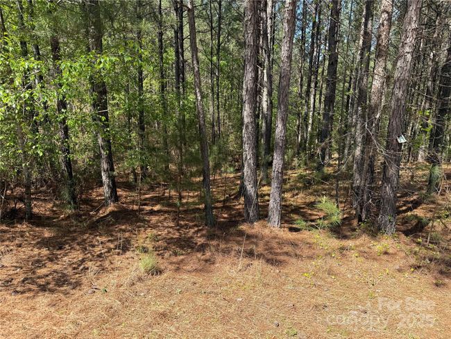 108 Whispering Pines Ln, Home with 0 bedrooms, 0 bathrooms and null parking in Mooresboro NC | Image 5