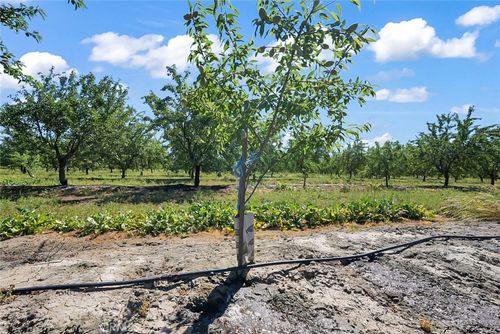 0 Buchanan Hollow Rd, Le Grand, CA, 95333 | Card Image