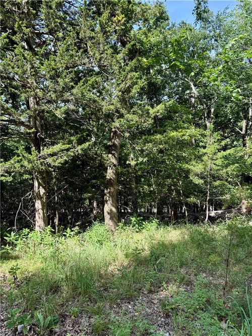 Lot 40 Pine Drive, Garfield, AR, 72732 | Card Image