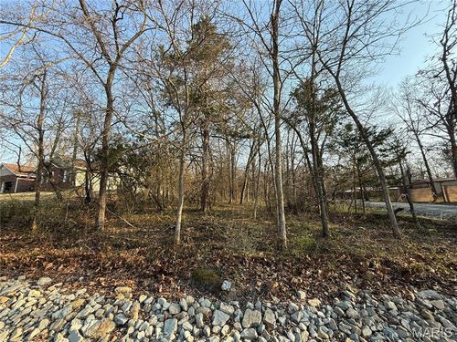 #411 S Deer Trl, Fredericktown, MO, 63645 | Card Image