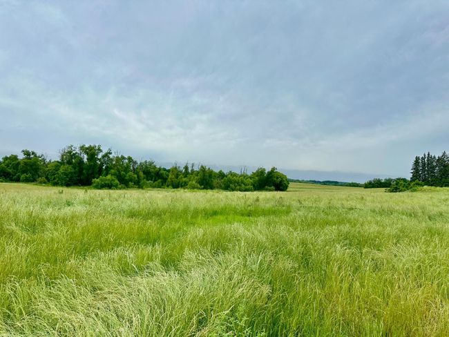 253 Pioneer Trl, House other with 5 bedrooms, 4 bathrooms and null parking in Hamel MN | Image 24