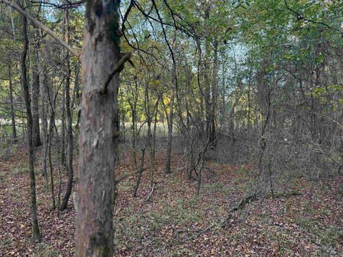 000 First Lot 3 Street, Bald Knob, AR, 72020 | Card Image