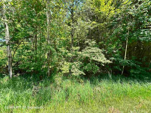 VL Pinconning Road, Billings Township, MI, 48612 | Card Image