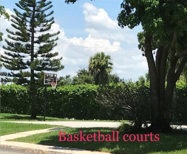 BASKETBALL | Image 27