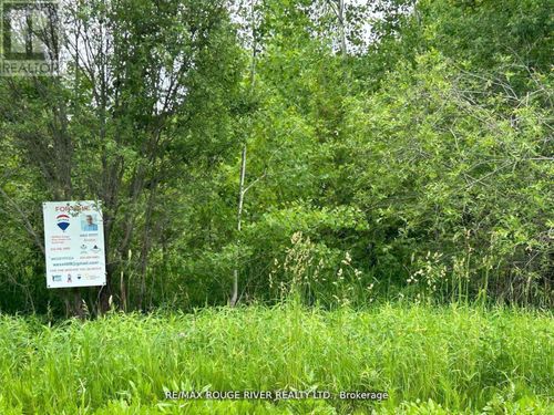 Con 8 Ptlot7rdpl74pt44-49, Trent Hills, ON, K0K3K0 | Card Image