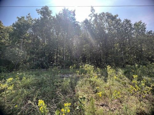 20 Sunset Ln, Holiday Island, AR, 72631-4427 | Card Image