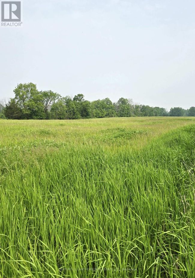 4893 Old Highway 2 Highway, Home with 4 bedrooms, 2 bathrooms and 9 parking in Belleville (Belleville Ward) ON | Image 20