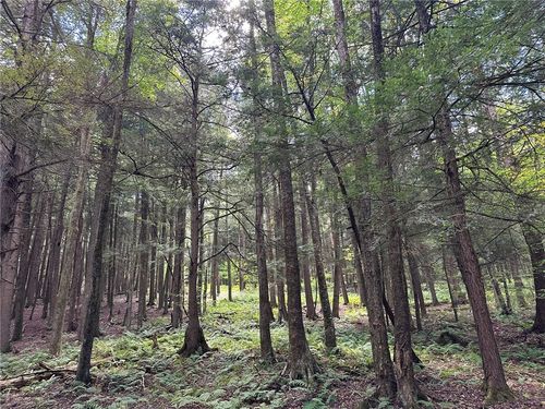 848 Ouaquaga Rd, Windsor, NY, 13865-1503 | Card Image