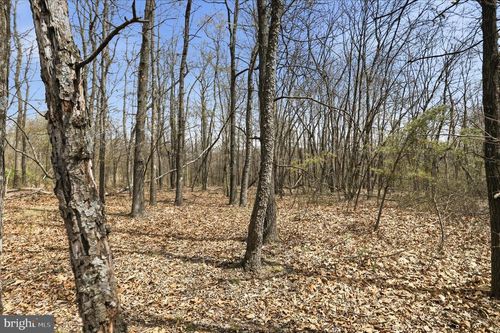 LOT 62 PHASE 2 Crest Haven Road, Romney, WV, 26757 | Card Image