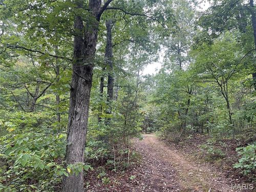 X County Road 339, Piedmont, MO, 63957 | Card Image