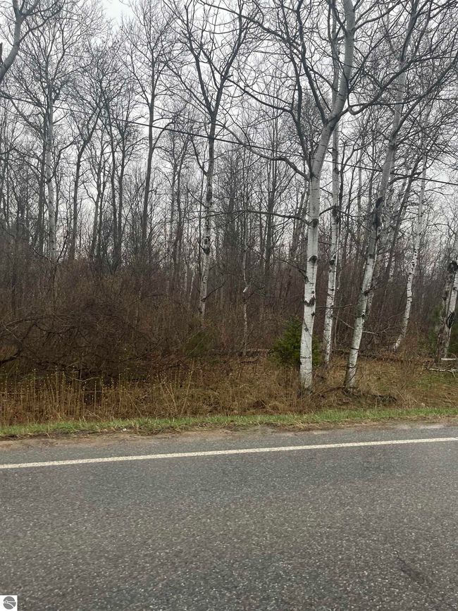 0 N Michigan Ave, Home with 0 bedrooms, 0 bathrooms and null parking in Manton MI | Image 6