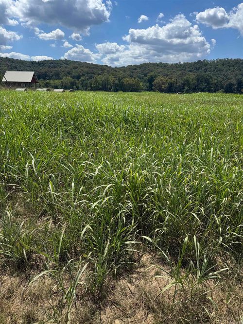 50, 59, 60 White River Run, Guion, AR, 72540 | Card Image