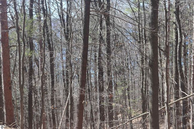 lot 4 Crystal Ridge Dr, Home with 0 bedrooms, 0 bathrooms and null parking in Beulah MI | Image 8