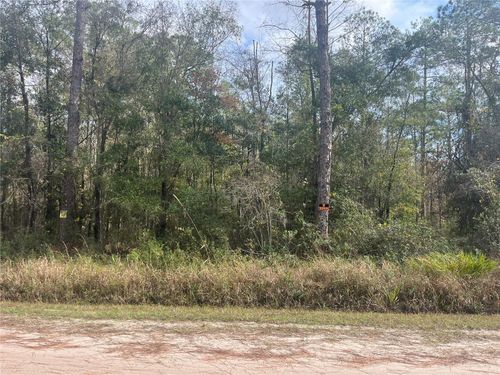 10530 Gregory Ave, Hastings, FL, 32145-8712 | Card Image