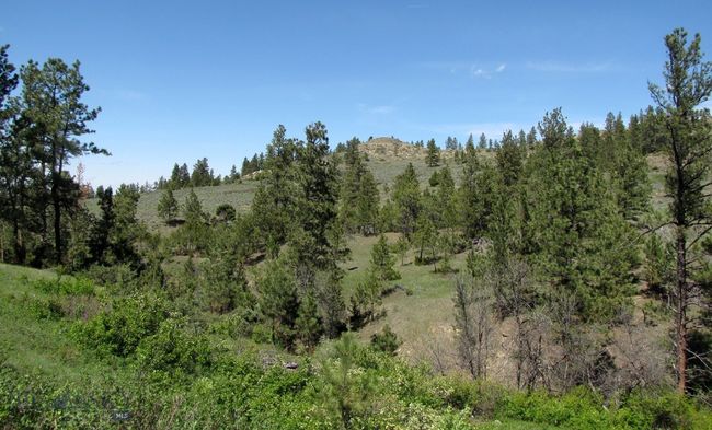 SC-25 - TBD Lone Rock Canyon Lane, Home with 0 bedrooms, 0 bathrooms and null parking in Hysham MT | Image 33