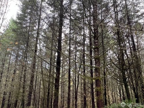 0 Pleasant Valley Rd, Chehalis, WA, 98532 | Card Image